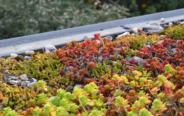 the cost of Arnside green roof installation