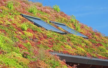 Arnside living roof systems